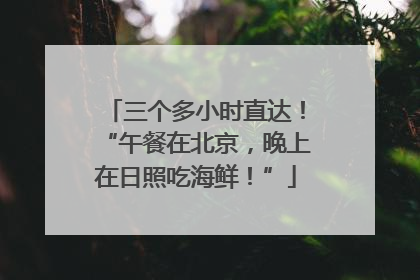 三个多小时直达！“午餐在北京，晚上在日照吃海鲜！”
