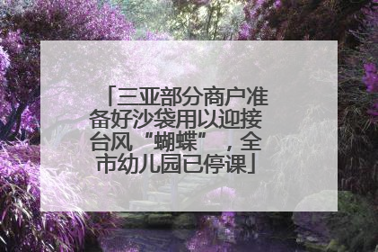 三亚部分商户准备好沙袋用以迎接台风“蝴蝶”，全市幼儿园已停课