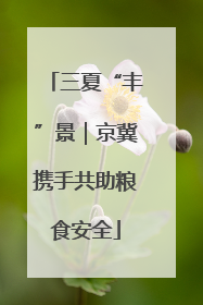 三夏“丰”景｜京冀携手共助粮食安全