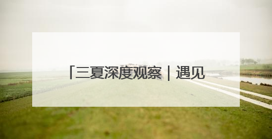 三夏深度观察｜遇见三夏里的新“丰”景