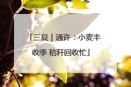 三夏｜通许：小麦丰收季 秸秆回收忙