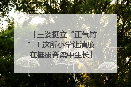 三姿挺立“正气竹”！这所小学让清廉在挺拔脊梁中生长