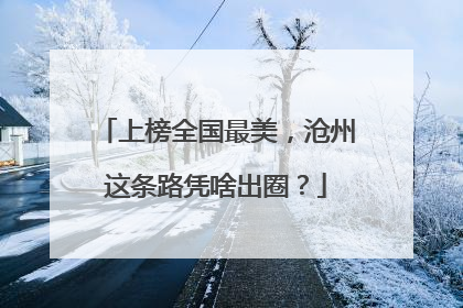 上榜全国最美，沧州这条路凭啥出圈？