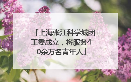 上海张江科学城团工委成立，将服务40余万名青年人