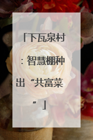 下瓦泉村：智慧棚种出“共富菜”