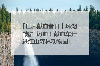 世界献血者日丨环湖“超”热血！献血车开进红山森林动物园