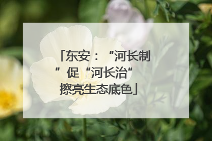 东安：“河长制”促“河长治” 擦亮生态底色