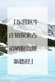东营区牛庄镇探索占道晒粮治理新路径