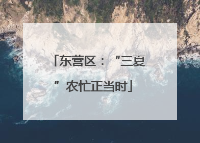 东营区：“三夏”农忙正当时