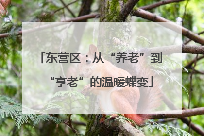 东营区：从“养老”到“享老”的温暖蝶变