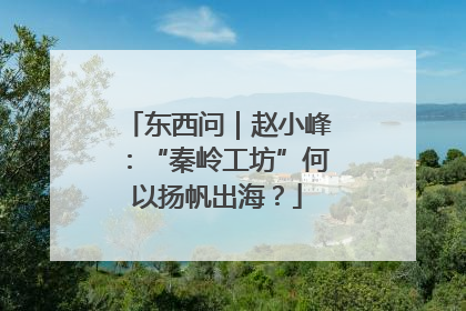 东西问｜赵小峰：“秦岭工坊”何以扬帆出海？