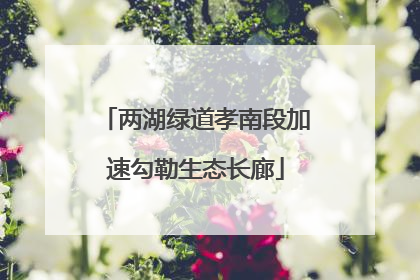 两湖绿道孝南段加速勾勒生态长廊