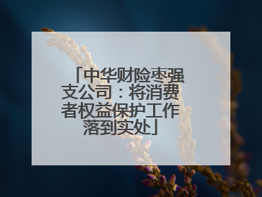 中华财险枣强支公司：将消费者权益保护工作落到实处