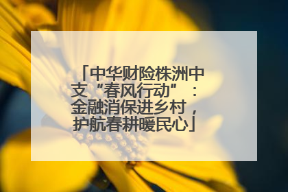 中华财险株洲中支“春风行动”：金融消保进乡村，护航春耕暖民心