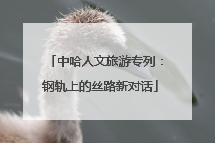中哈人文旅游专列：钢轨上的丝路新对话