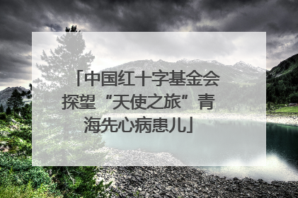 中国红十字基金会探望“天使之旅”青海先心病患儿