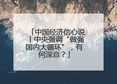 中国经济信心说丨中央强调“做强国内大循环”，有何深意？