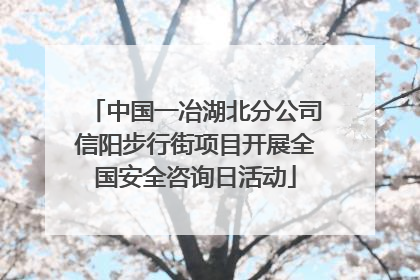 中国一冶湖北分公司信阳步行街项目开展全国安全咨询日活动