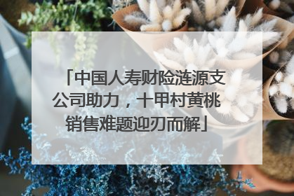 中国人寿财险涟源支公司助力，十甲村黄桃销售难题迎刃而解