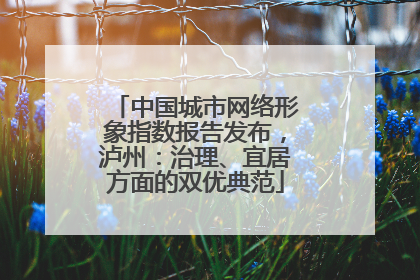 中国城市网络形象指数报告发布，泸州：治理、宜居方面的双优典范