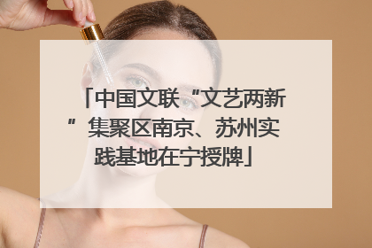 中国文联“文艺两新”集聚区南京、苏州实践基地在宁授牌