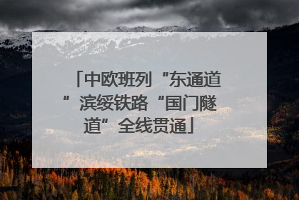 中欧班列“东通道”滨绥铁路“国门隧道”全线贯通