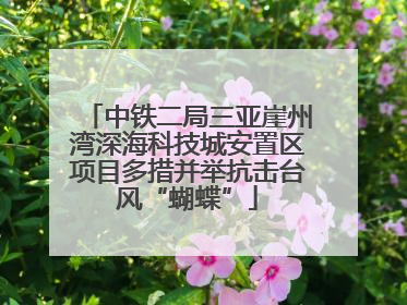中铁二局三亚崖州湾深海科技城安置区项目多措并举抗击台风“蝴蝶”