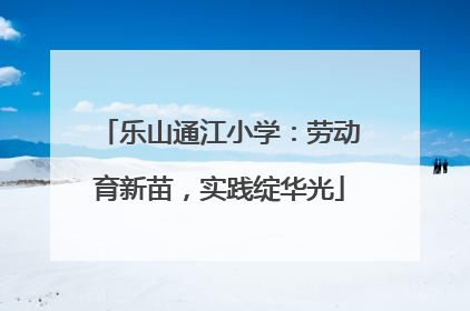 乐山通江小学：劳动育新苗，实践绽华光