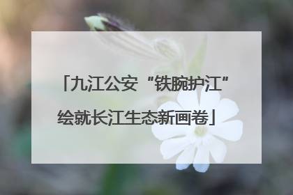 九江公安“铁腕护江”绘就长江生态新画卷
