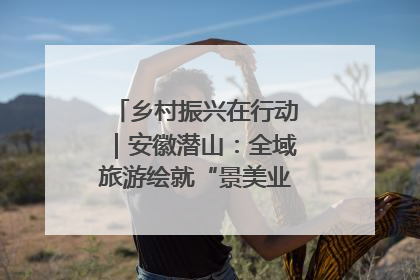 乡村振兴在行动｜安徽潜山：全域旅游绘就“景美业兴民富”新画卷
