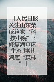 人民日报关注山东荣成这家“科技小院”：修复海草床生态 种出海底“森林”