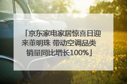 京东家电家居惊喜日迎来董明珠 带动空调品类销量同比增长100%