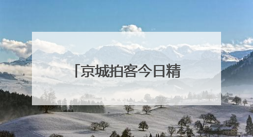 京城拍客今日精选｜夏日麦儿黄，莲叶何田田