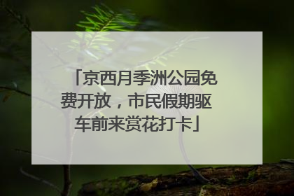 京西月季洲公园免费开放，市民假期驱车前来赏花打卡