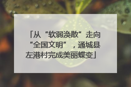 从“软弱涣散”走向“全国文明”，通城县左港村完成美丽蝶变