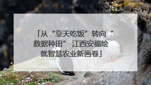 从“靠天吃饭”转向“数据种田” 江西安福绘就智慧农业新画卷