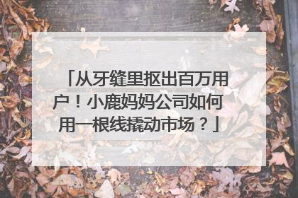 从牙缝里抠出百万用户！小鹿妈妈公司如何用一根线撬动市场？