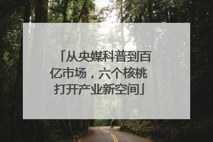 从央媒科普到百亿市场，六个核桃打开产业新空间