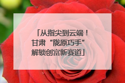 从指尖到云端！甘肃“陇原巧手”解锁创富新赛道