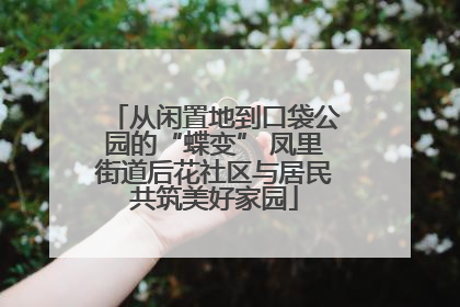 从闲置地到口袋公园的“蝶变” 凤里街道后花社区与居民共筑美好家园