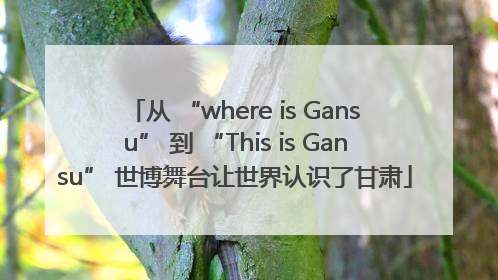 从 “where is Gansu” 到 “This is Gansu” 世博舞台让世界认识了甘肃
