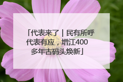 代表来了｜民有所呼代表有应，增江400多年古码头焕新
