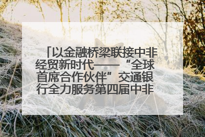 以金融桥梁联接中非经贸新时代——“全球首席合作伙伴”交通银行全力服务第四届中非经贸博览会