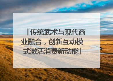 传统武术与现代商业融合，创新互动模式激活消费新动能