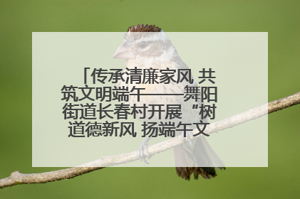 传承清廉家风 共筑文明端午——舞阳街道长春村开展“树道德新风 扬端午文化”主题活动