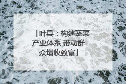 叶县：构建蔬菜产业体系 带动群众增收致富