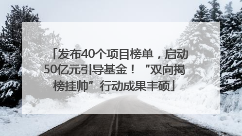 发布40个项目榜单，启动50亿元引导基金！“双向揭榜挂帅”行动成果丰硕