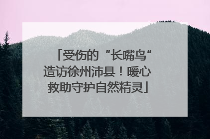 受伤的“长嘴鸟”造访徐州沛县！暖心救助守护自然精灵