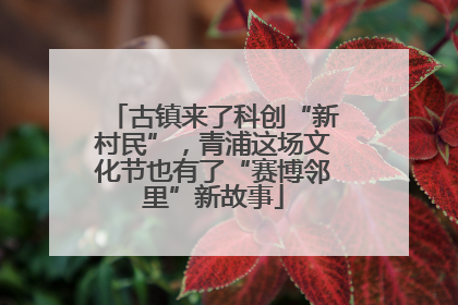 古镇来了科创“新村民”，青浦这场文化节也有了“赛博邻里”新故事