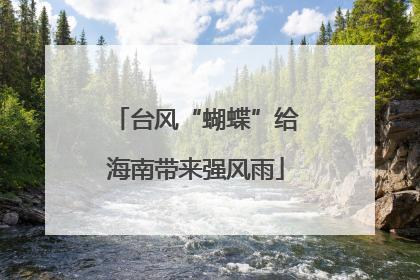 台风“蝴蝶”给海南带来强风雨